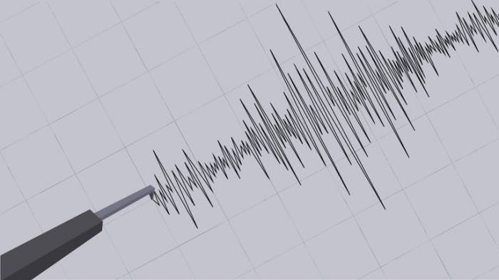 Two earthquakes strike India