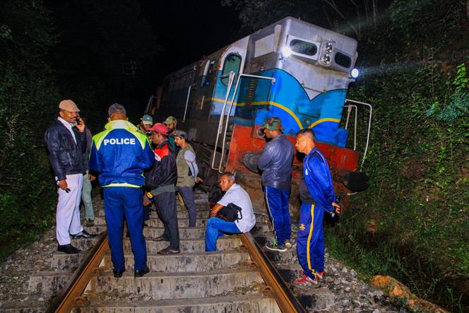 Sri Lanka passenger train derails after smashing into elephant herd
