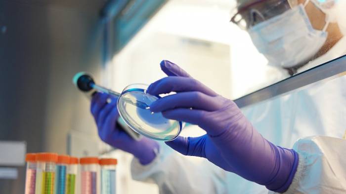 China detecs new virus in bats with potential to infect humans like COVID-19