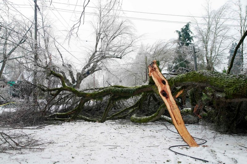 Strong winds leave over 100,000 without power in US West Coast