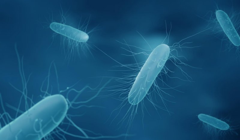 Listeria outbreak in US claims at least 12 lives