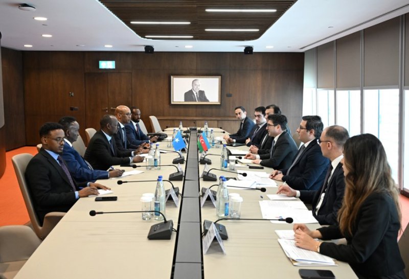 Azerbaijan and Somalia discuss potential areas for collaboration 