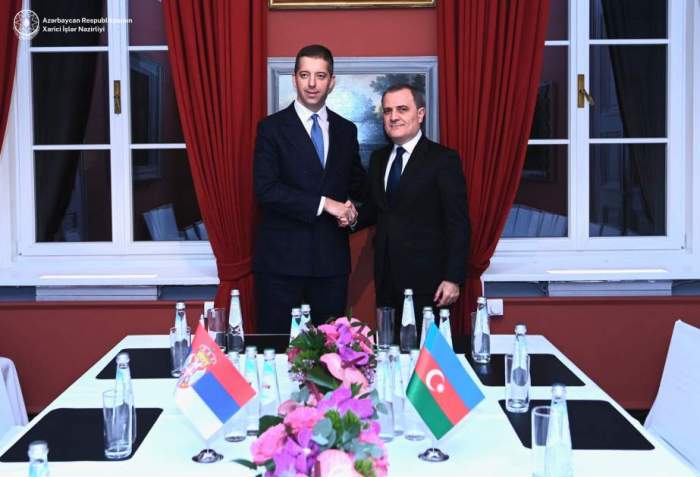 Top Azerbaijani, Serbian diplomats discuss strategic partnership in Munich