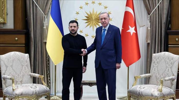 Turkish, Russian presidents meet in Ankara