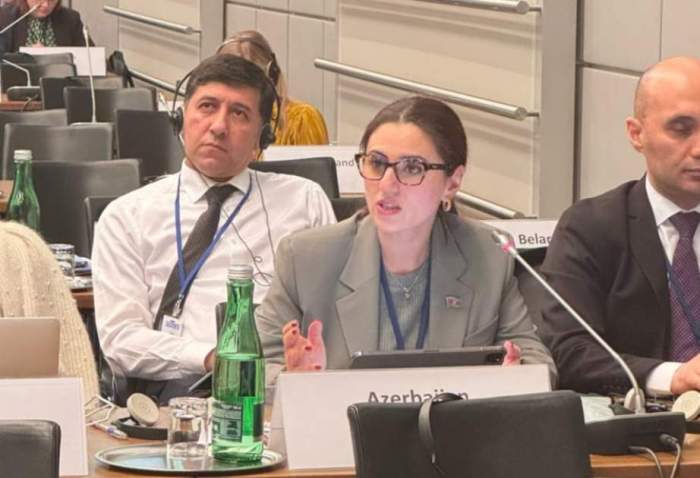 Azerbaijani MP responds to Armenian colleague’s accusations at PACE