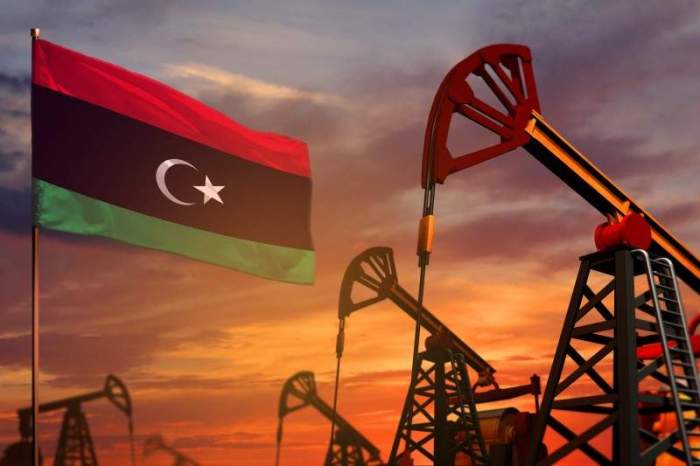 Libya's state oil firm aims to increase output and transparency, says new chairman 