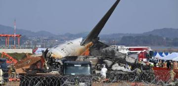 S. Korean airports to install bird detection systems following deadly air crash