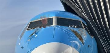 Swans smash into plane after takeoff, forcing emergency landing at London Gatwick -  PHOTO 