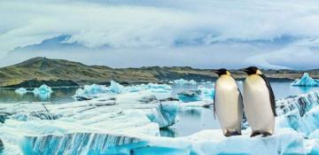 World's sea ice reaches record low 