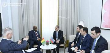 Azerbaijan and Guinea explore collaboration in multiple sectors 