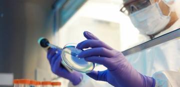 China detecs new virus in bats with potential to infect humans like COVID-19