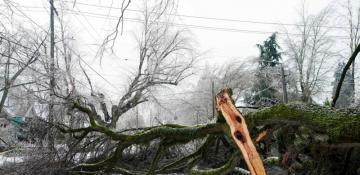 Strong winds leave over 100,000 without power in US West Coast