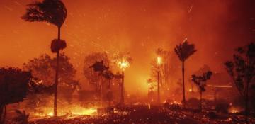 Munich Re: Los Angeles wildfires cause record-breaking insurance losses of $1.3B