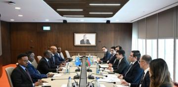 Azerbaijan and Somalia discuss potential areas for collaboration 