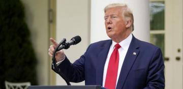 Waltz: Trump wants to leave Ukraine's security guarantees to Europe 