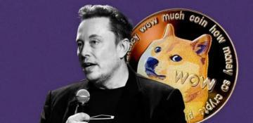 Elon Musk's DOGE commission has been granted access to sensitive U.S. Treasury payment systems 
