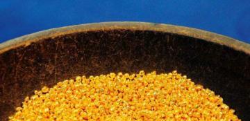 US tariffs against China near gold prices record high