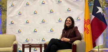 Fed's Logan floats idea of discount-window loan auction facility 