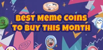 Top 5 Meme moin presales you don't want to miss this February ( VIDEO )