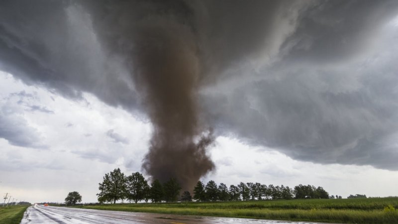 At least 34 dead as tornadoes tear through southern US  VIDEO  