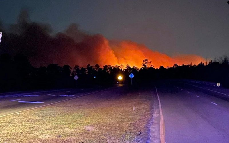 US State of South Carolina declares state of emergency as wildfires erupt 