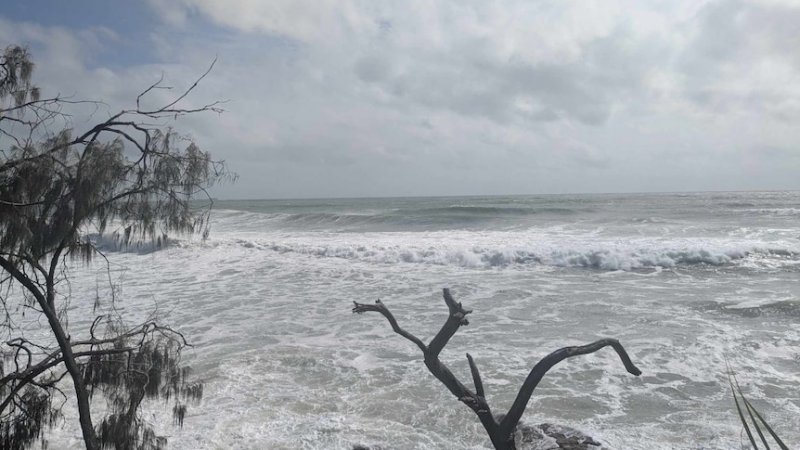 Tropical Cyclone Alfred set to strengthen into category two storm in Australia