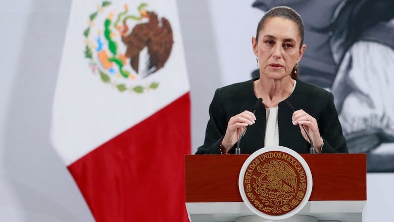 Mexico to decide in April on reciprocal tariffs on U.S. products 