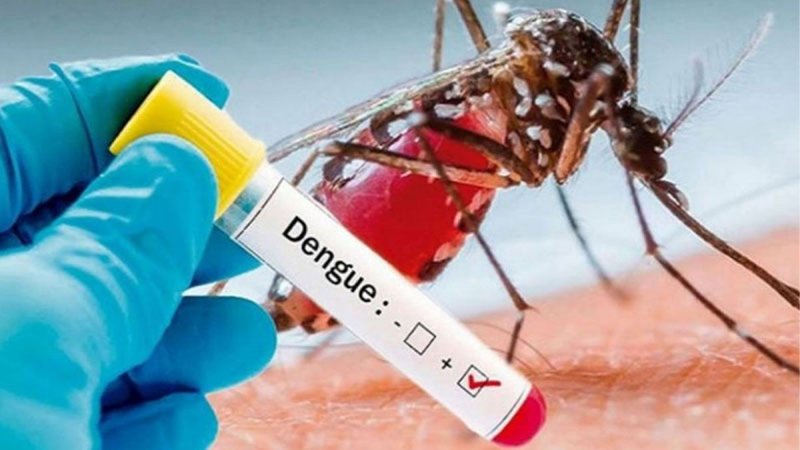 Fiji declares dengue fever outbreak in Western Division 