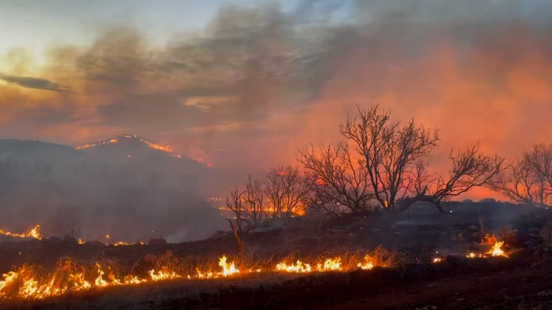 Wildfire burns 1,300 acres in U.S. Texas 