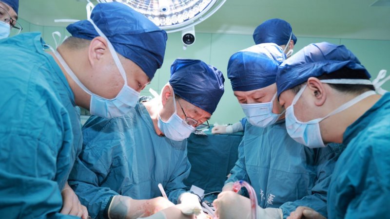 China achieves first gene-edited pig liver transplant into human