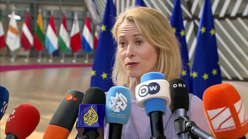 Bolstering Ukraine's defence means stronger peace negotiations - Kallas 