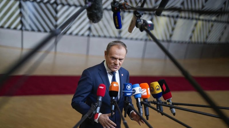 Donald Tusk unveils military training plan for all Polish men 