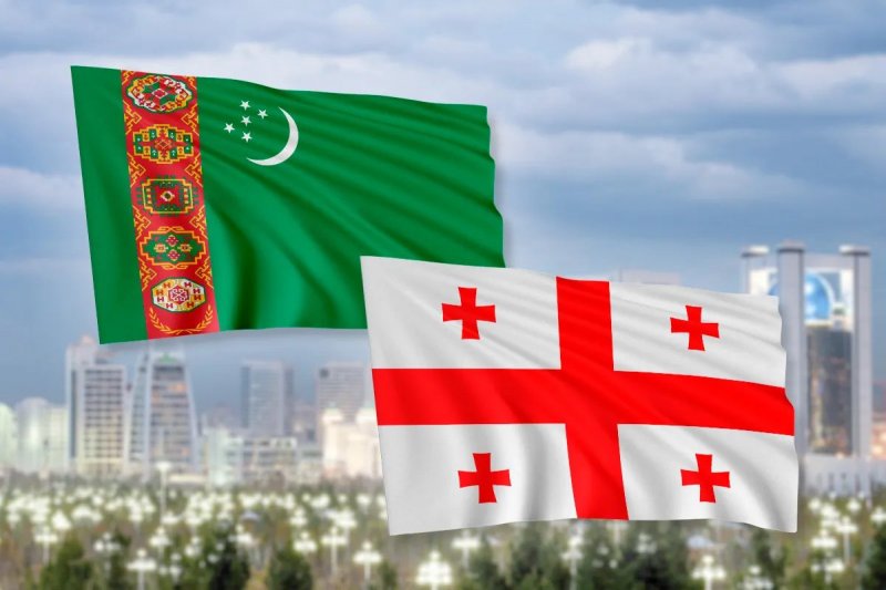 Turkmenistan and Georgia explore healthcare and broader partnership opportunities 