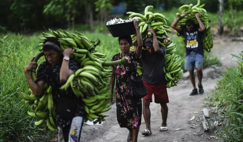 U.N. talks in Rome end with a $200 billion annual plan to protect nature 