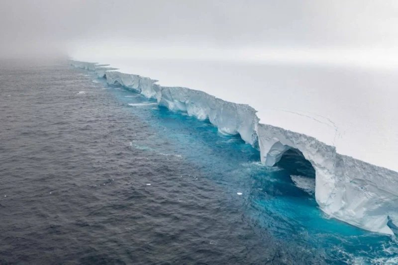 World's largest iceberg runs aground, sparing wildlife haven island