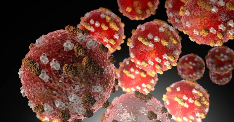 WHO reports highest measles cases in Europe in 25 years 