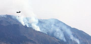 Japan eases wildfire evacuation orders as rain brings relief