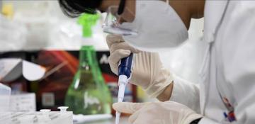 UN agency warns bird flu's spread is 