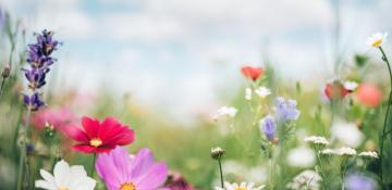 Spring season begins in Azerbaijan