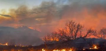 Wildfire burns 1,300 acres in U.S. Texas 