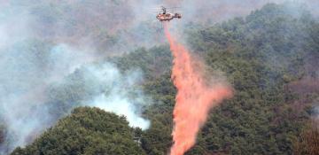 Death toll rises to 27 as South Korea battles to contain worst-ever wildfires