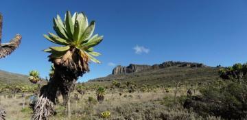 UNESCO launches biosphere reserve to promote biodiversity conservation along Kenya-Uganda border 