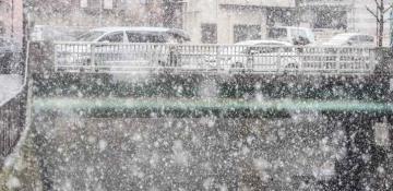 Unseasonal snowfall hits Tokyo as Japan braces for severe weather -  VIDEO 