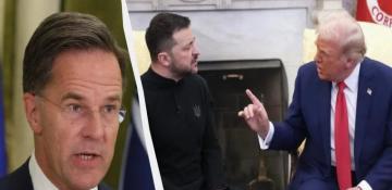 NATO's Rutte urges Zelenskyy to mend his relationship with Trump 