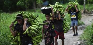 U.N. talks in Rome end with a $200 billion annual plan to protect nature 