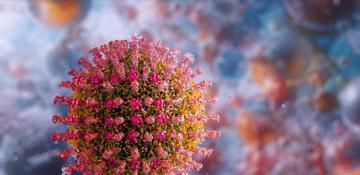 Second person dies in US measles outbreak 