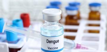 Thailand set to launch clinical trial of dengue fever vaccine