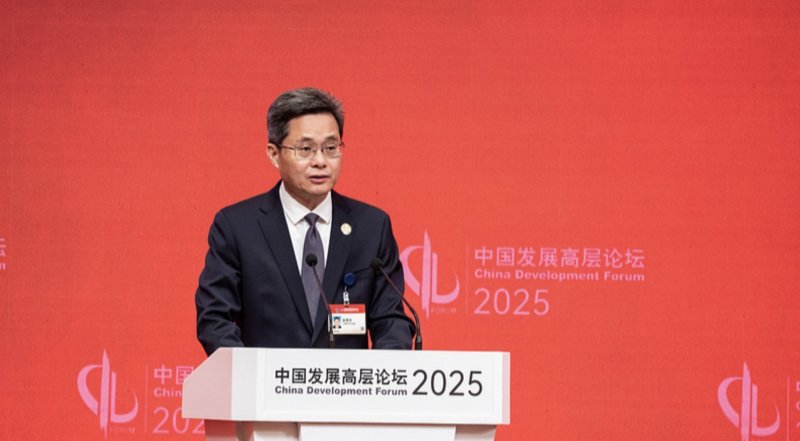China's finance minister promises more proactive fiscal policy 