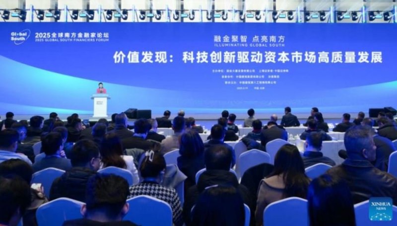 2025 Global South Financiers Forum being held in Beijing (PHOTO) 