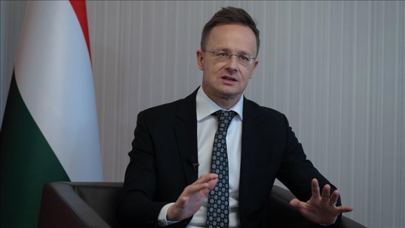 Hungarian foreign minister calls Türkiye a very important partner 